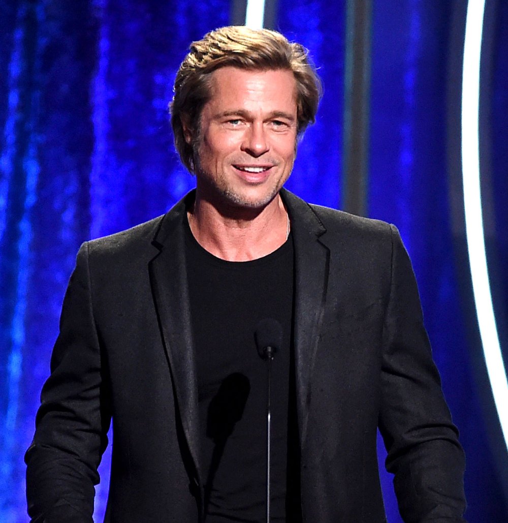 Brad Pitt Rallies Support at LACMA Hearing in Los Angeles