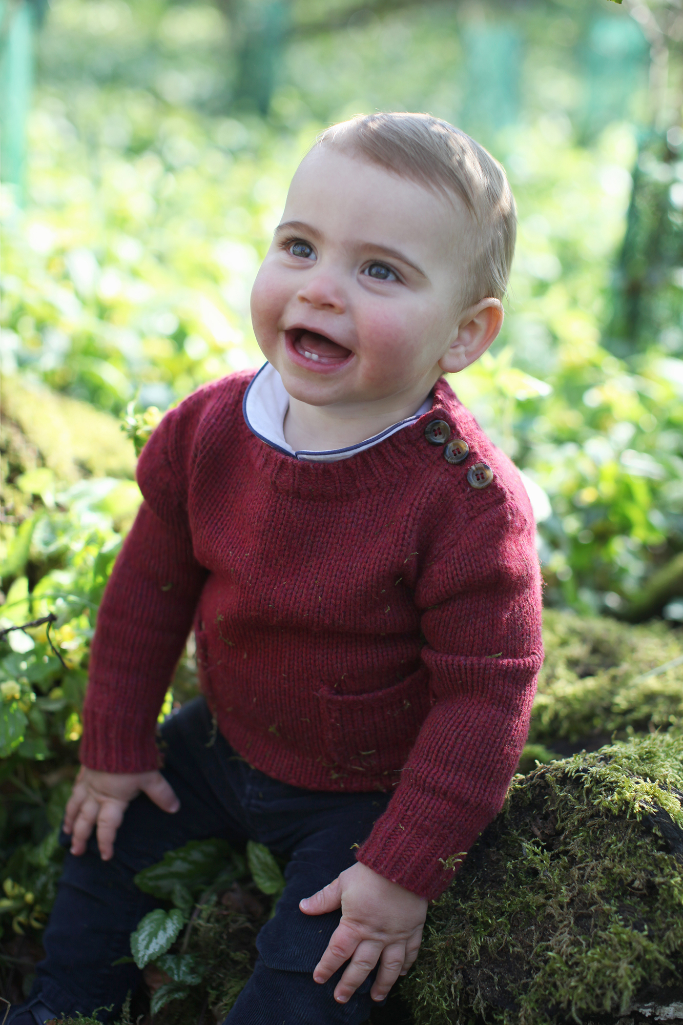 Prince-Louis-1st-birthday