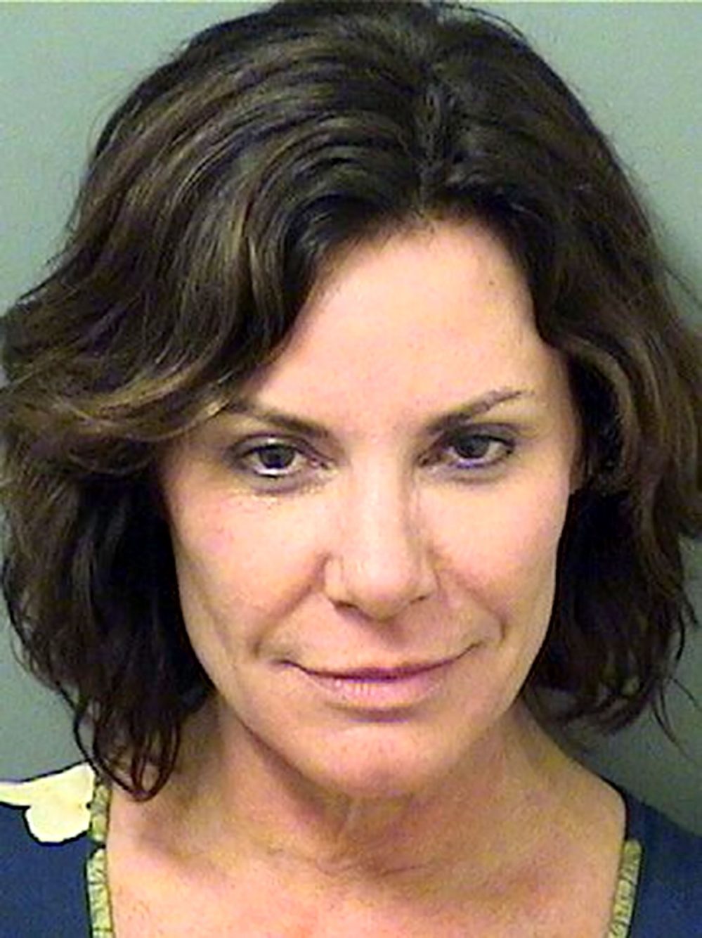 Luann de Lesseps Released From Custody Agreeing Stricter Plea Deal