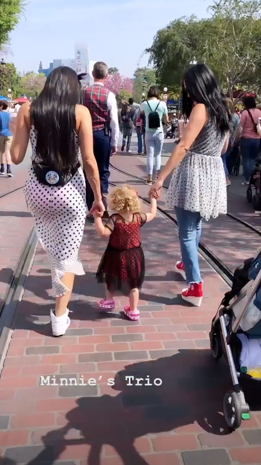 Nikki Bella and Artem Chigvintsev Double Date With Brie Bella at Disneyland