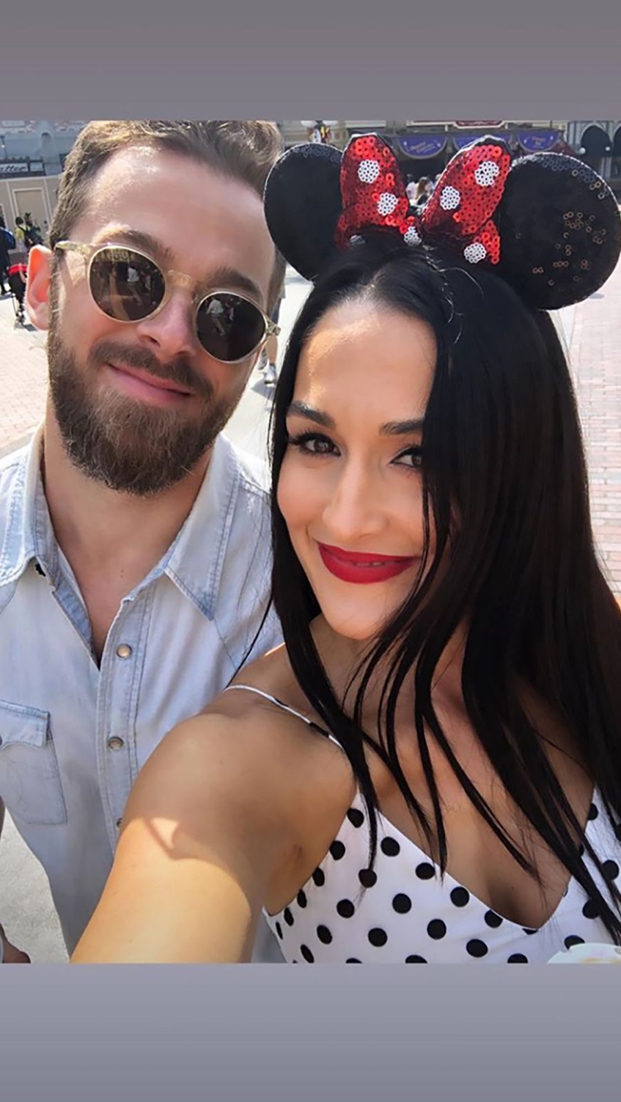 Nikki Bella and Artem Chigvintsev Double Date With Brie Bella at Disneyland