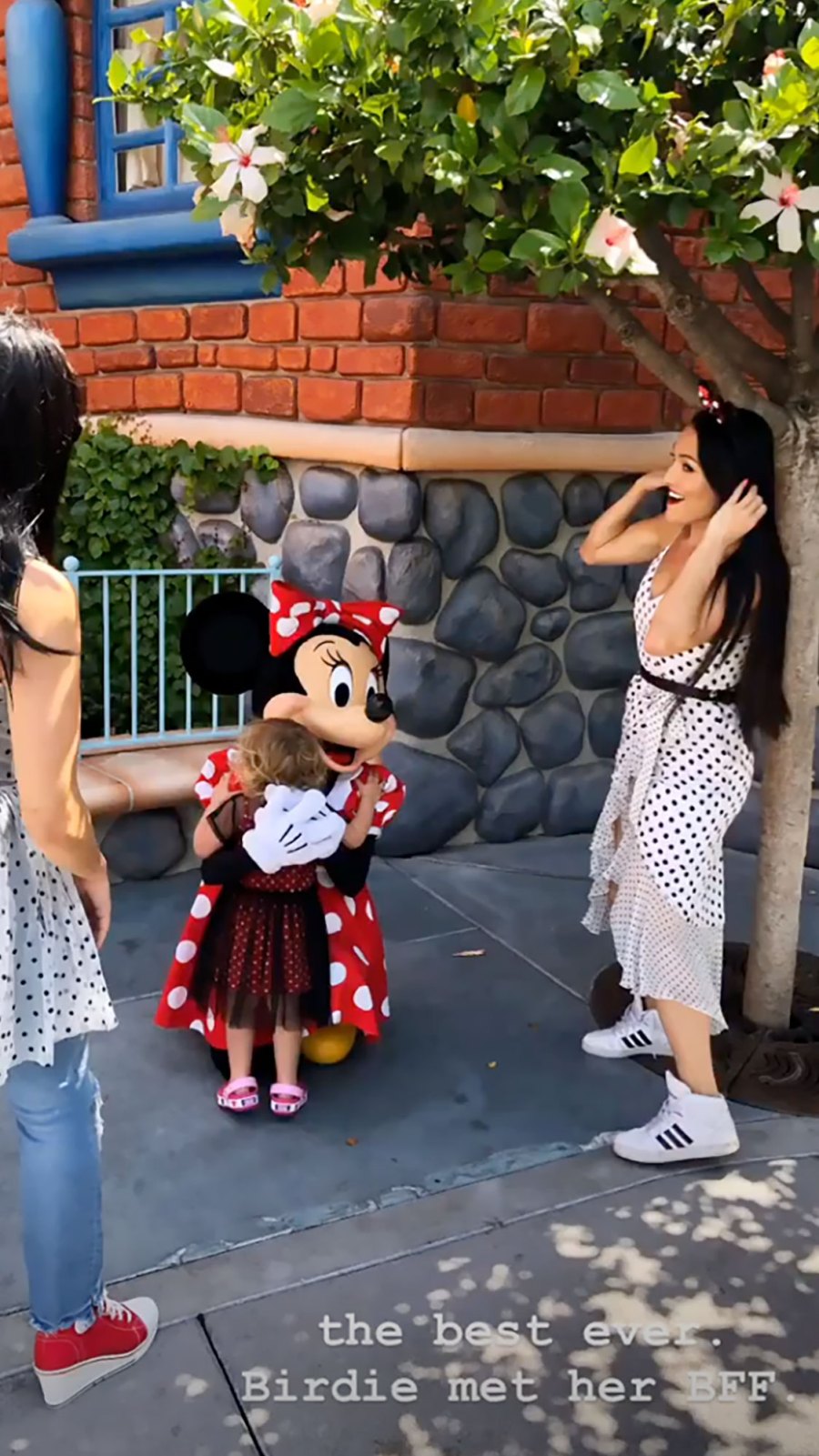 Nikki Bella and Artem Chigvintsev Double Date With Brie Bella at Disneyland