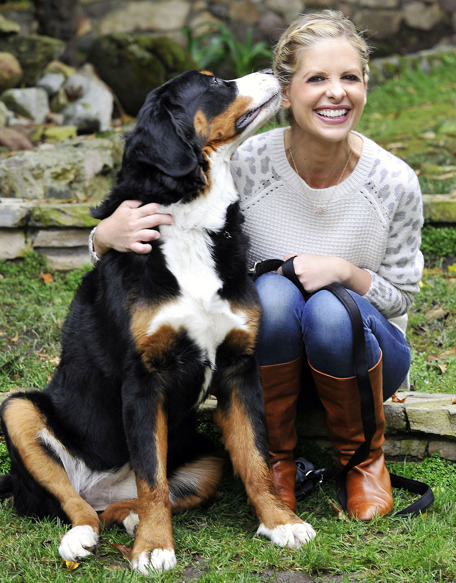 Sarah Michelle Gellar Dog Bella Dead