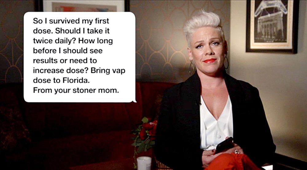 Pink Reads Hilarious Text Stoner Mom