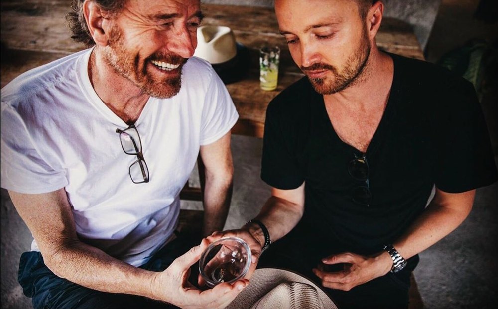 Breaking Bad Fans Annoyed at Bryan Cranston Aaron Paul Mezcal