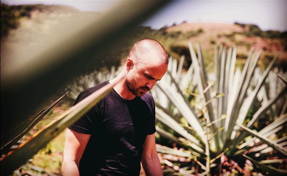 Breaking Bad Fans Annoyed at Bryan Cranston Aaron Paul Mezcal