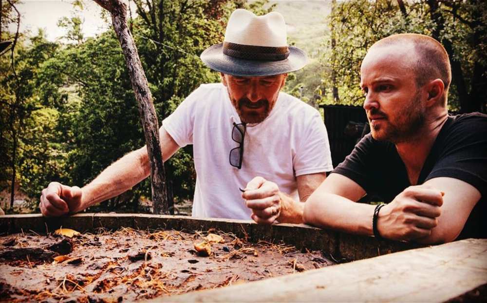 Breaking Bad Fans Annoyed at Bryan Cranston Aaron Paul Mezcal