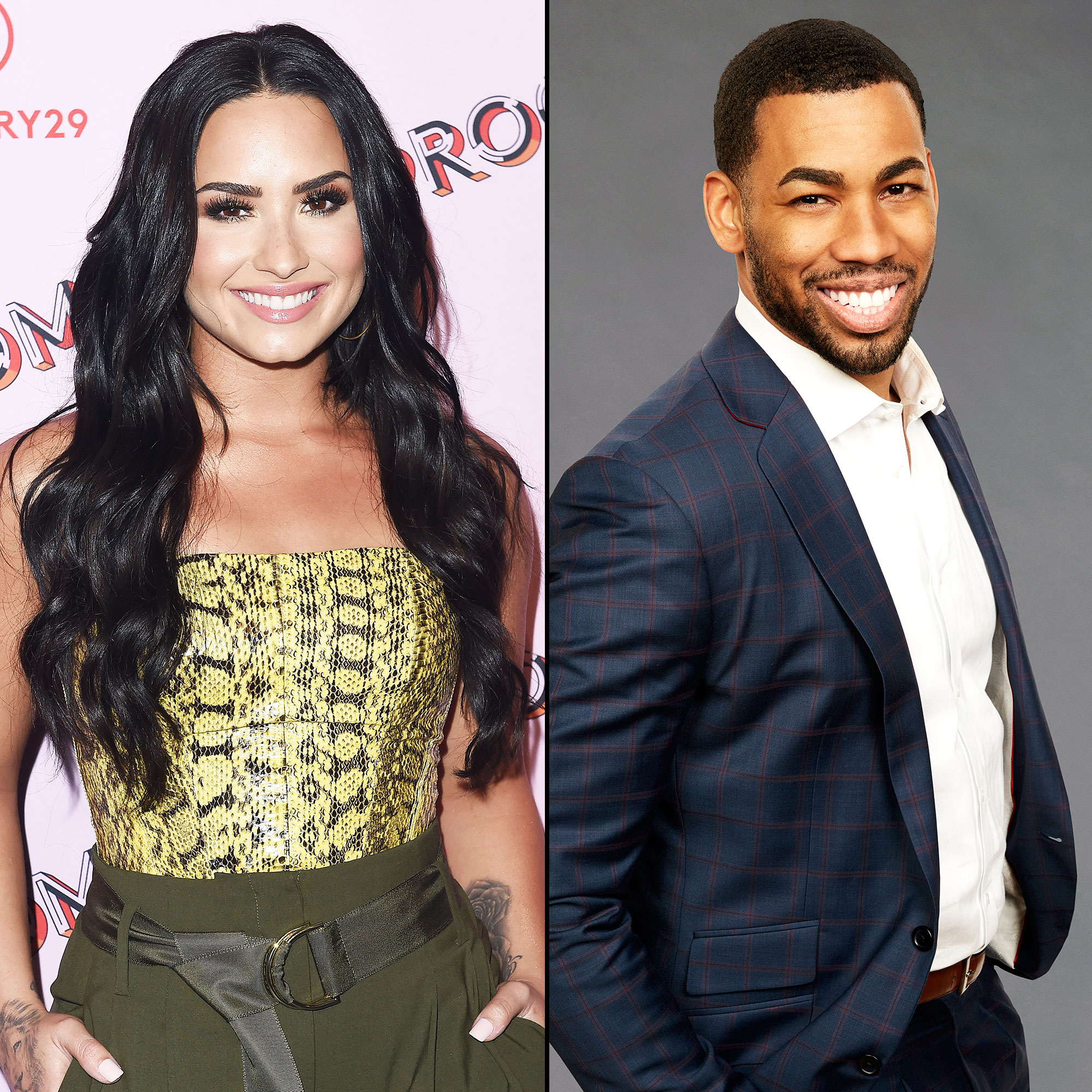 Demi Lovato’s Fans Think She Should Date The Bachelorette’s Mike Johnson