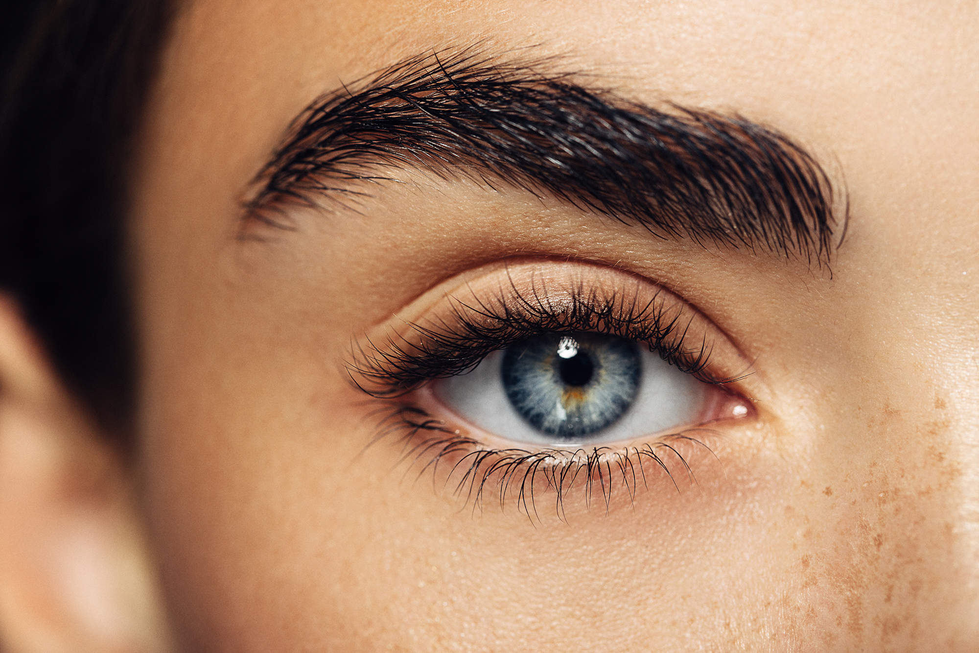 Eye