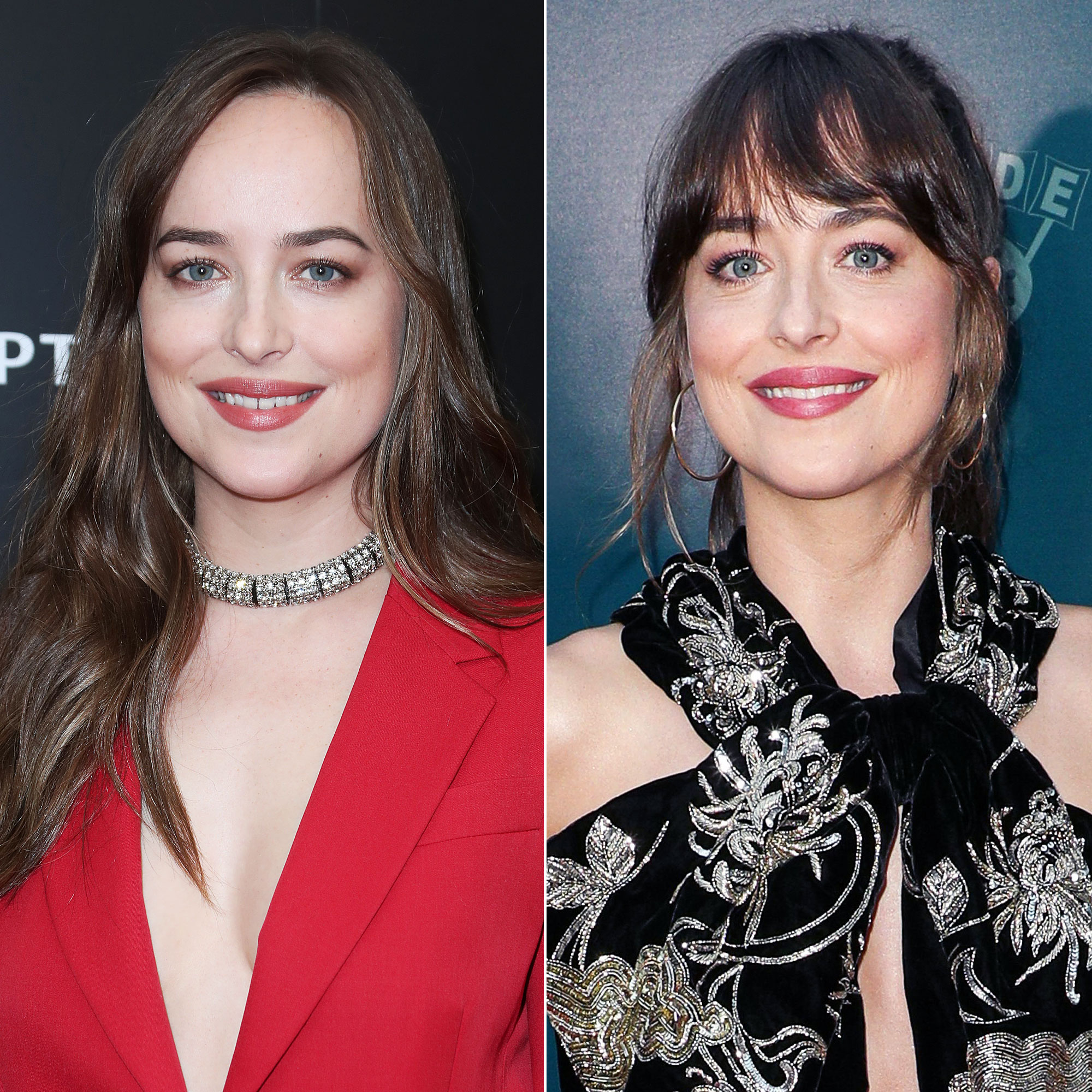 Dakota Johnson Gap Tooth Feature