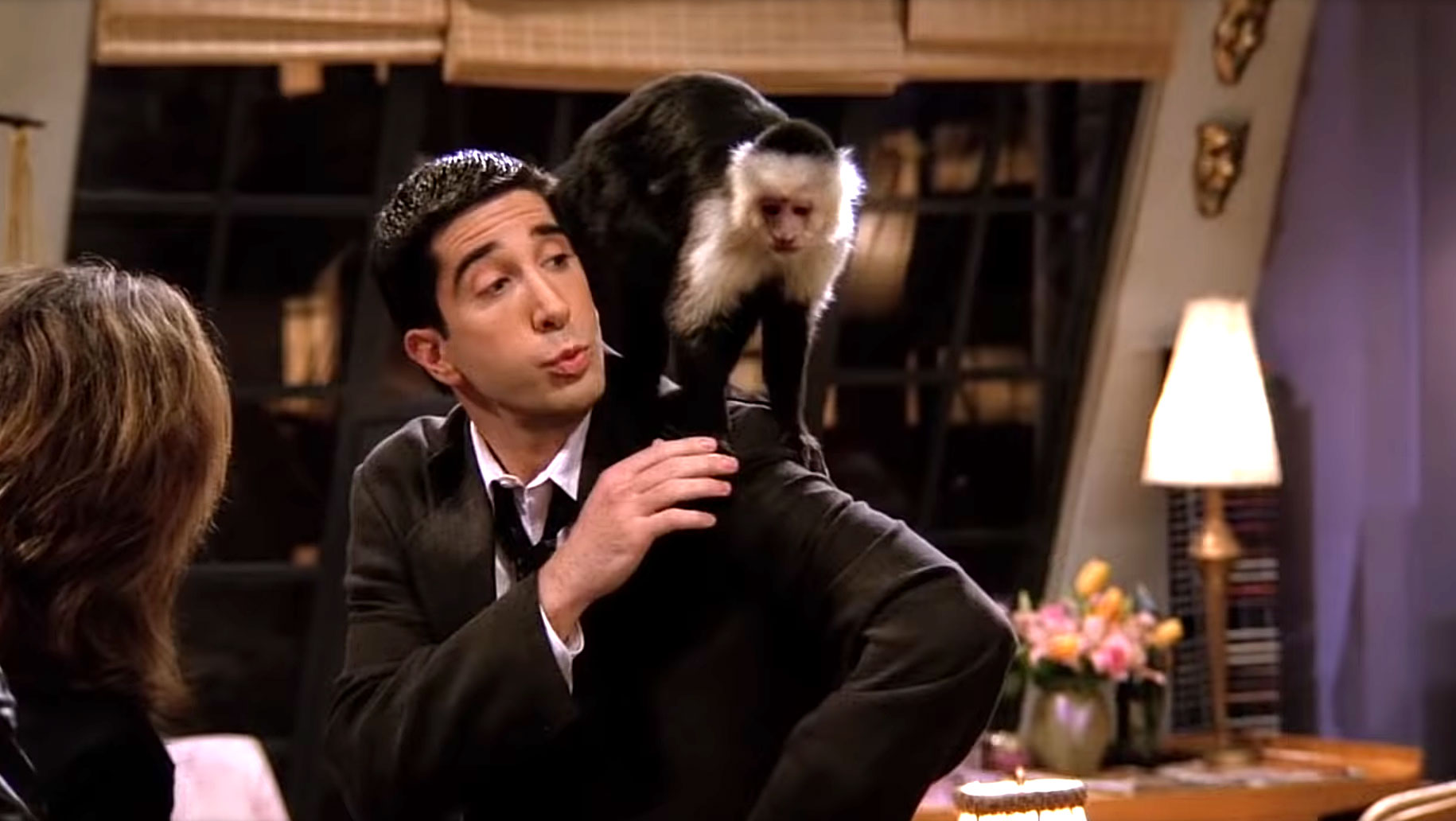 Marcel the Monkey Friends Returning to TV FX Y