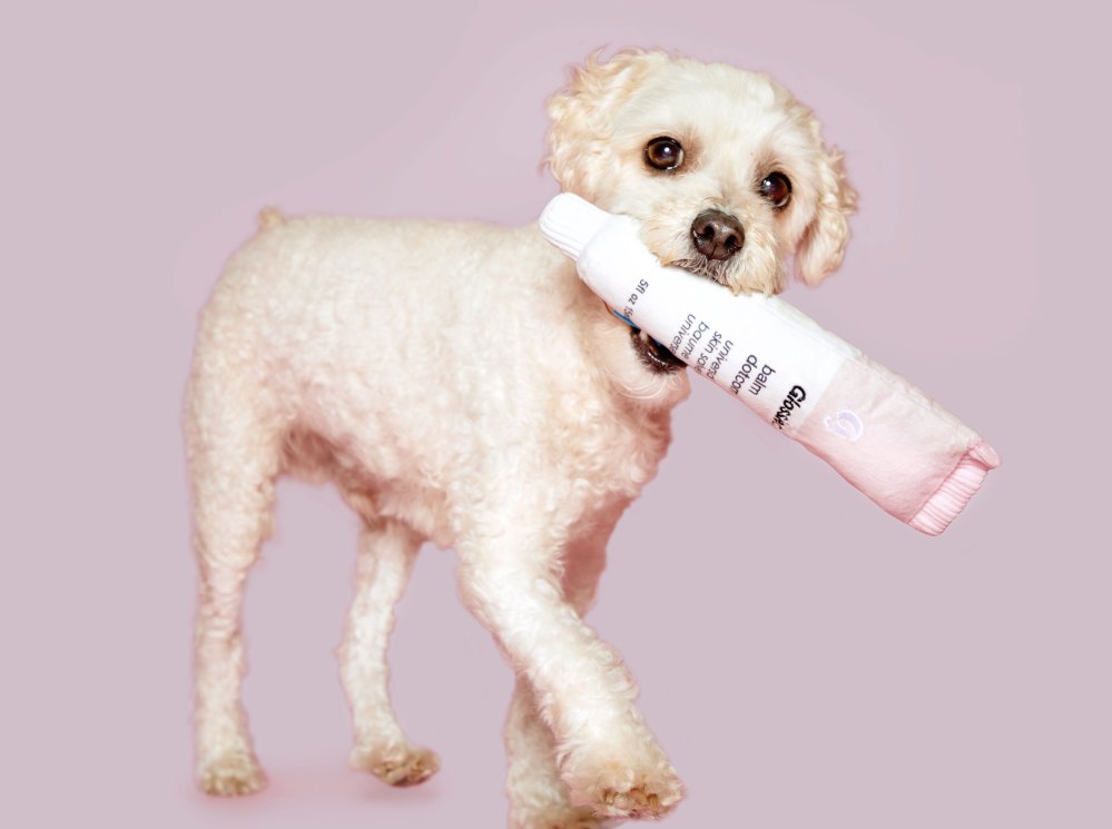 Glossier x BarkBox Collaboration