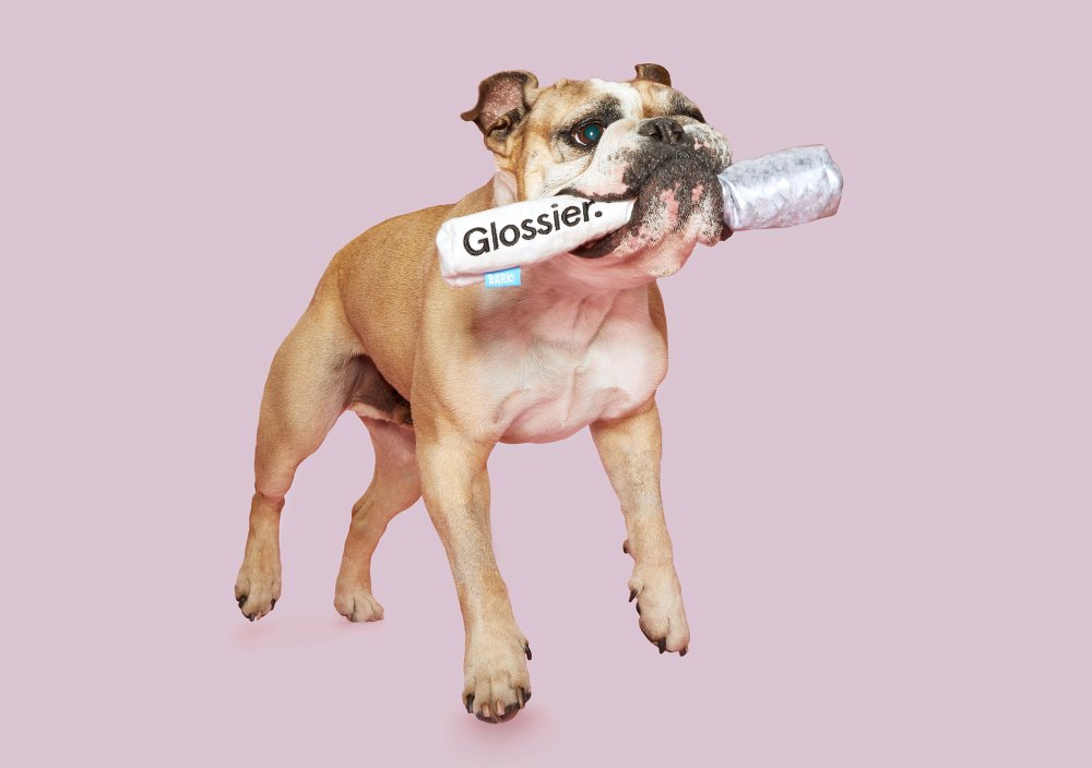 Glossier x BarkBox Collaboration