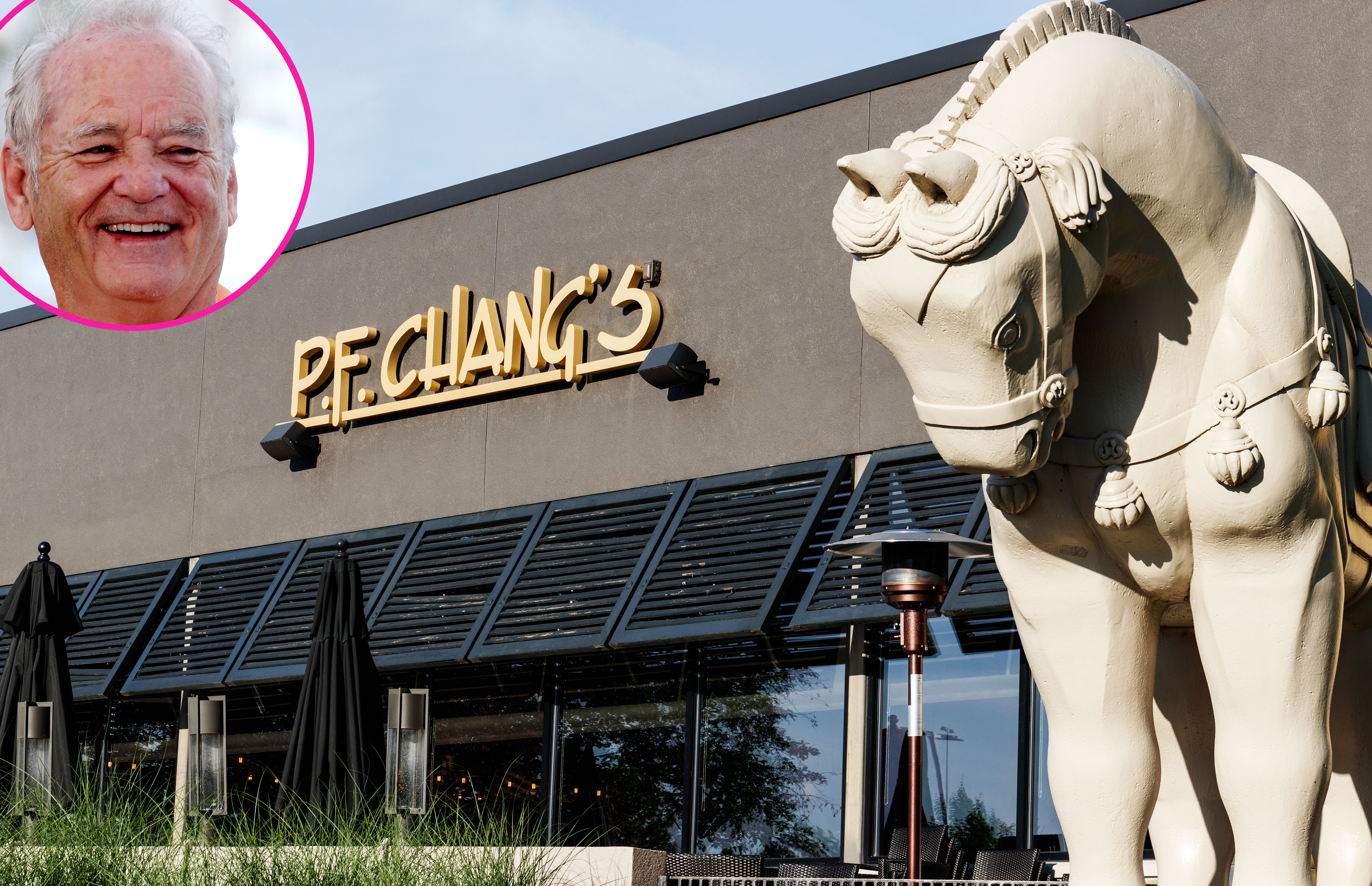 P.F. Chang Offers Bill Murray a Job After He Applied for One