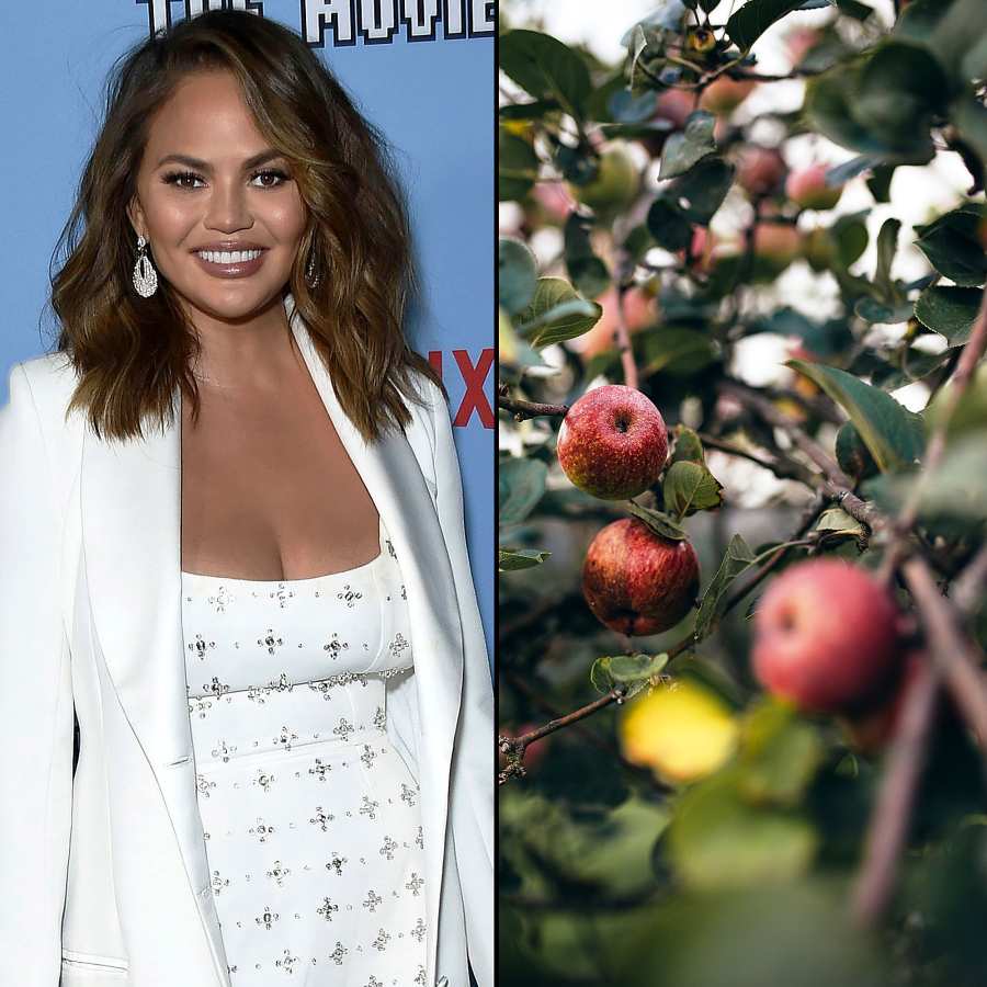 Chrissy Teigen Apple Orchard