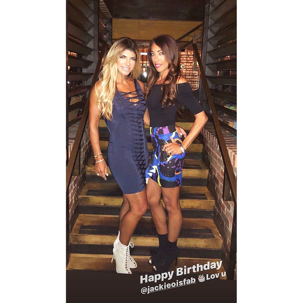 Teresa Giudice Celebrates Friend's Birthday Amid Husband Joe Giudice's Deportation to Italy