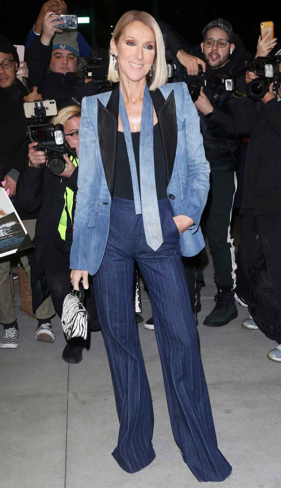 Celine Dion Denim Ensemble November 14, 2019