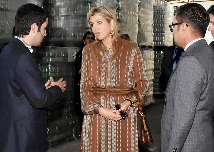 Queen Maxima Brown Outfit November 25, 2019