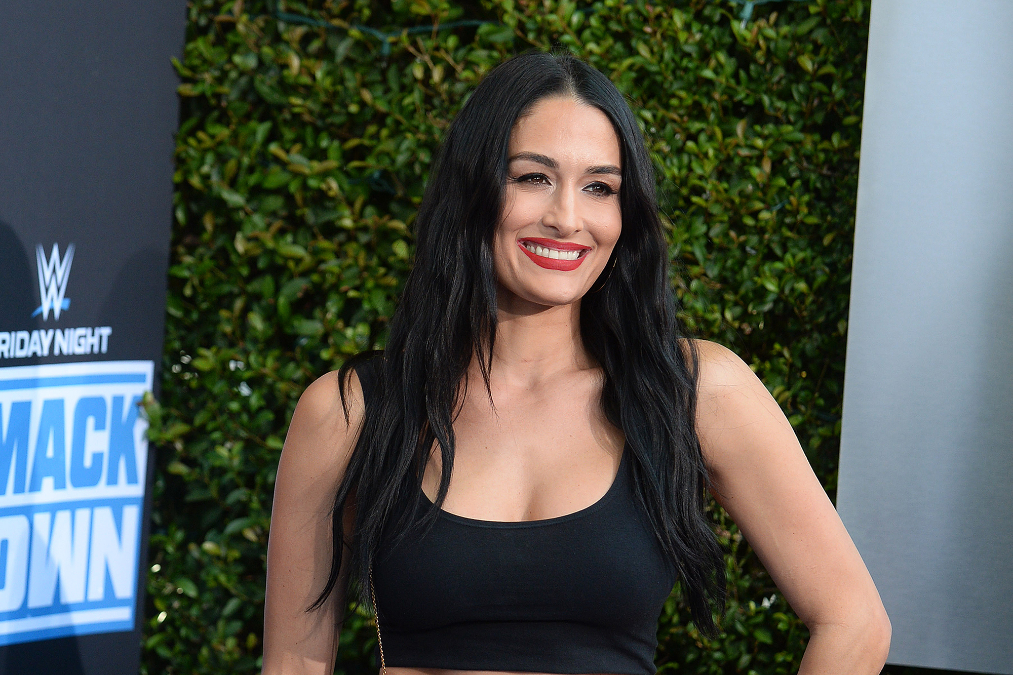 nikki bella concealer