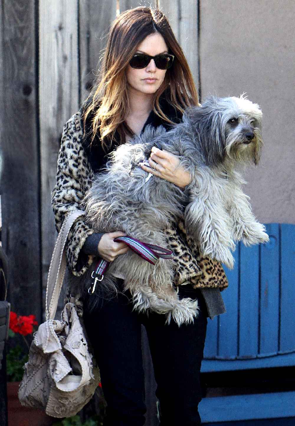 Funniest Celebrity Dog Names