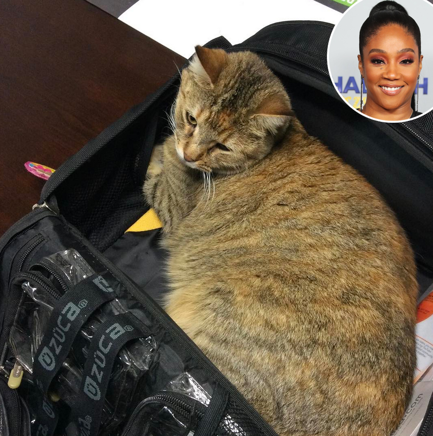 Tiffany-Haddish-&-one-cat-from-Keanu