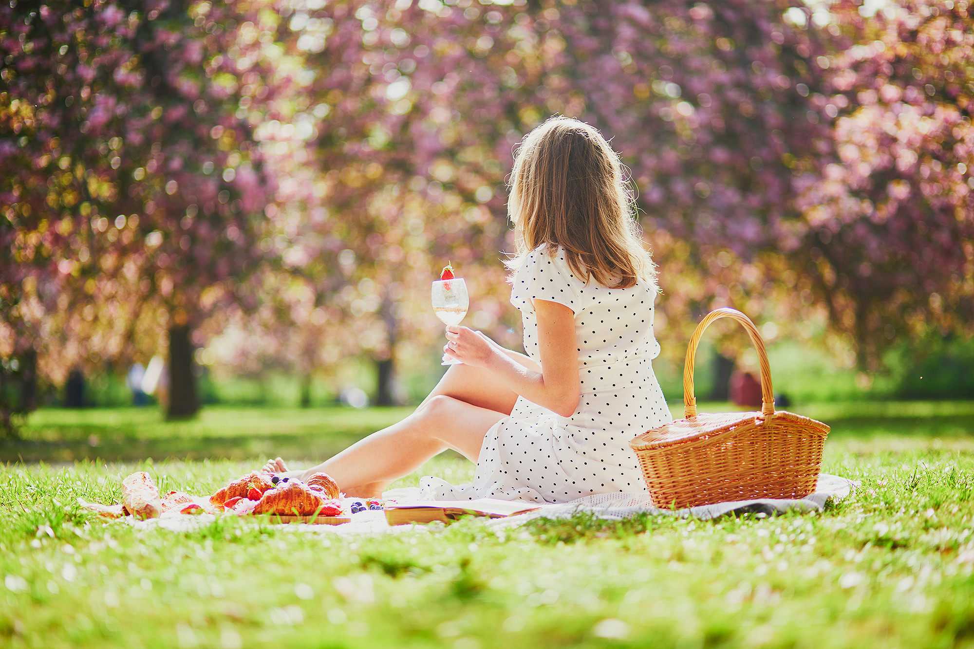 picnic