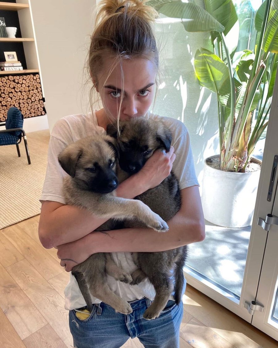 Cara Delevinge Stars Adopting or Fostering Pups Amid Coronavirus