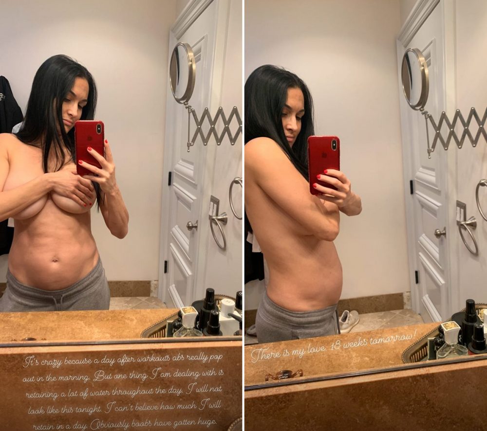 Nikki-Bella-Bares-Baby-Bump-in-Topless-Shot