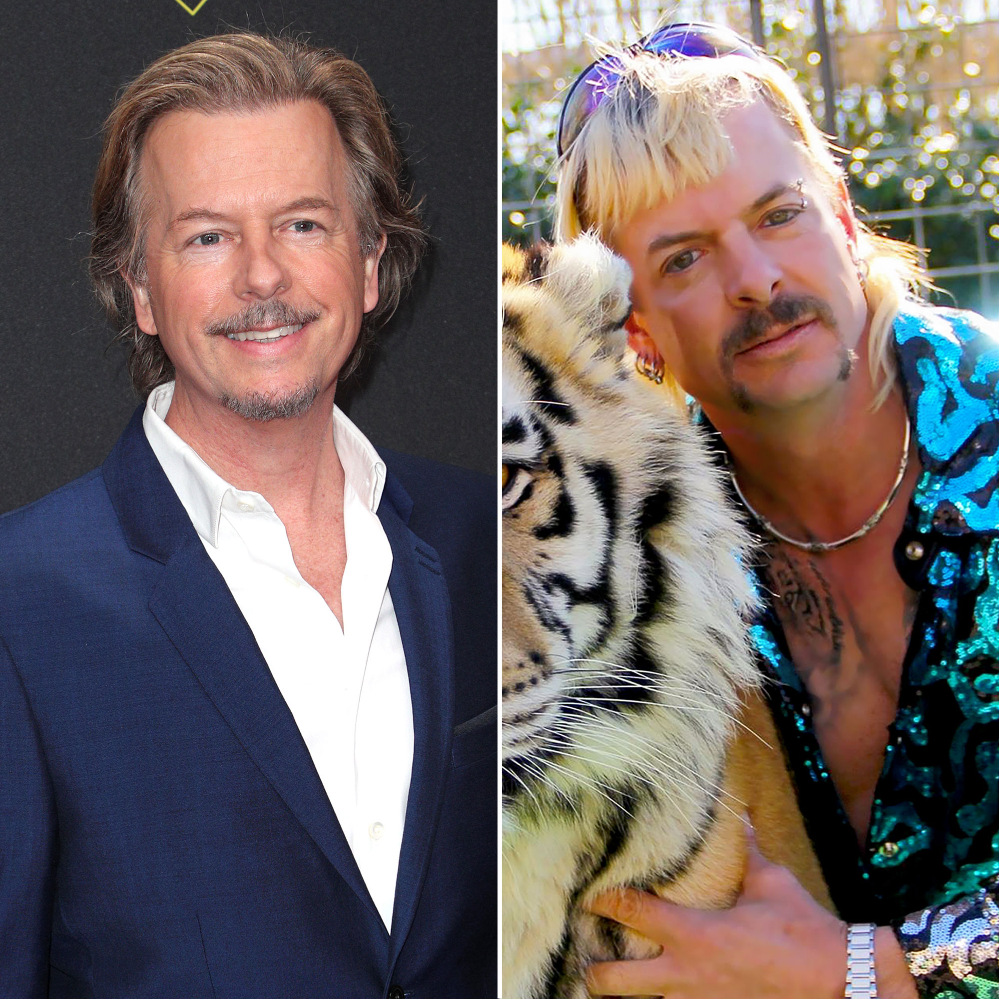 David Spade Shares His Thoughts on Playing Joe Exotic