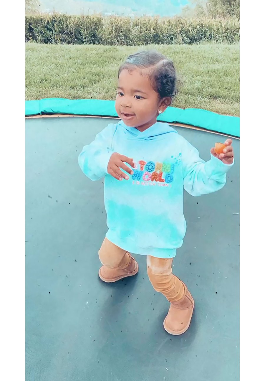 Khloe Kardashian's Daughter True Thompson's Backyard