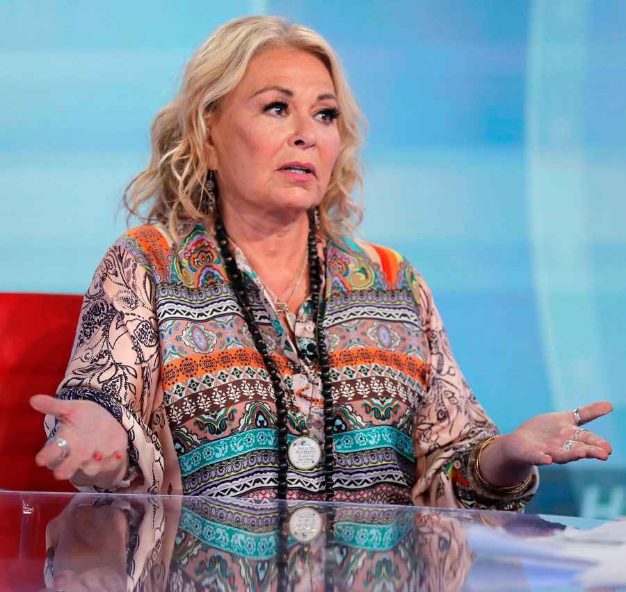 Roseanne Barr Stars Who Drew Backlash for Their Controversial Views Coronavirus