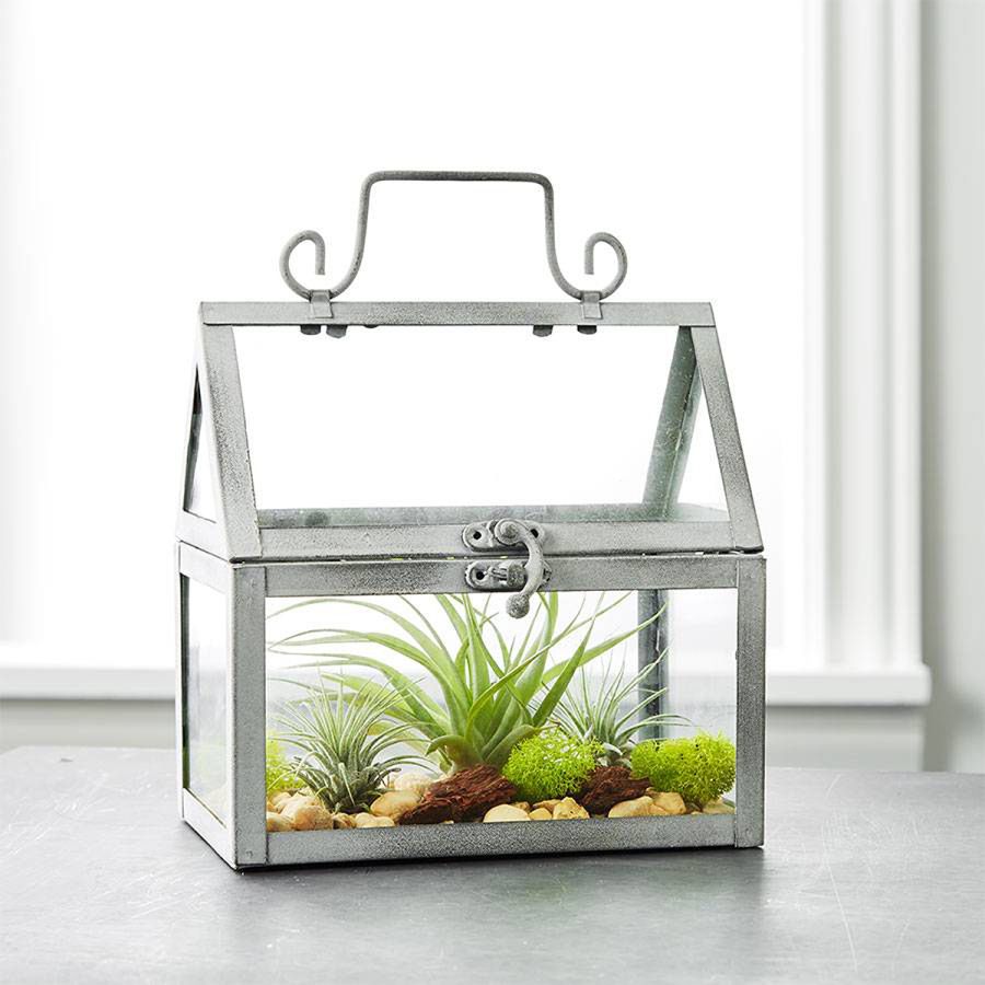 terrarium