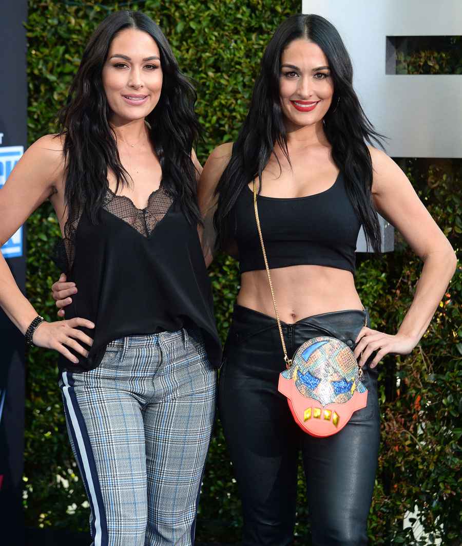 Brie Bella and Nikki Bella WWE 20th Anniversary Celebration Revelations