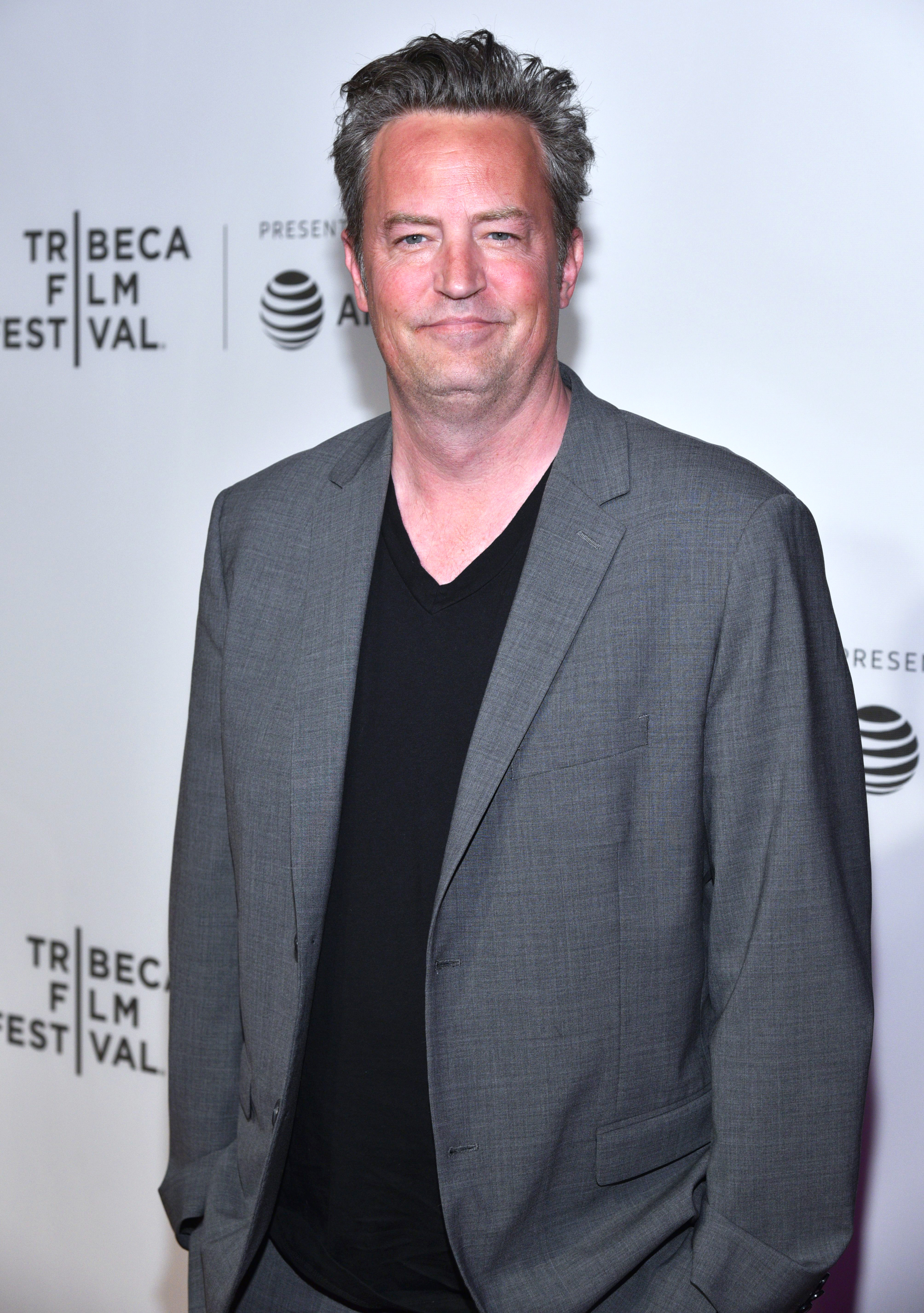 Matthew Perry Is Getting Back Into Online Dating After Molly Hurwitz Split