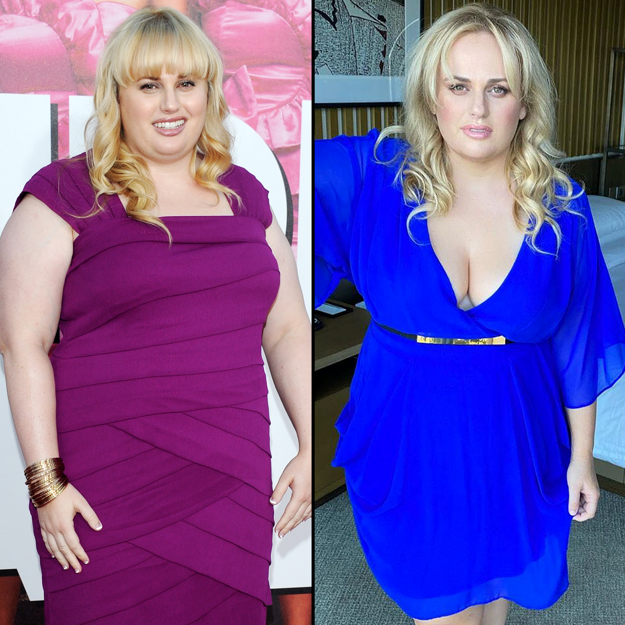 Rebel Wilson Transformation Through the Years