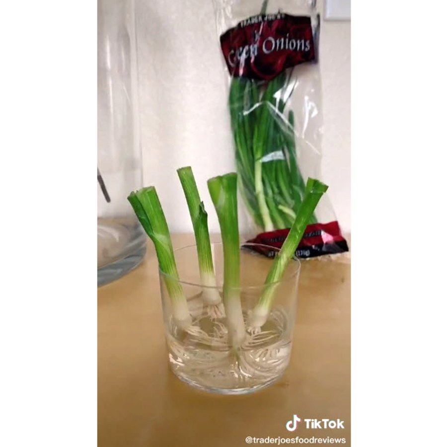 The Green Onion Hack Trader Joes TikTok