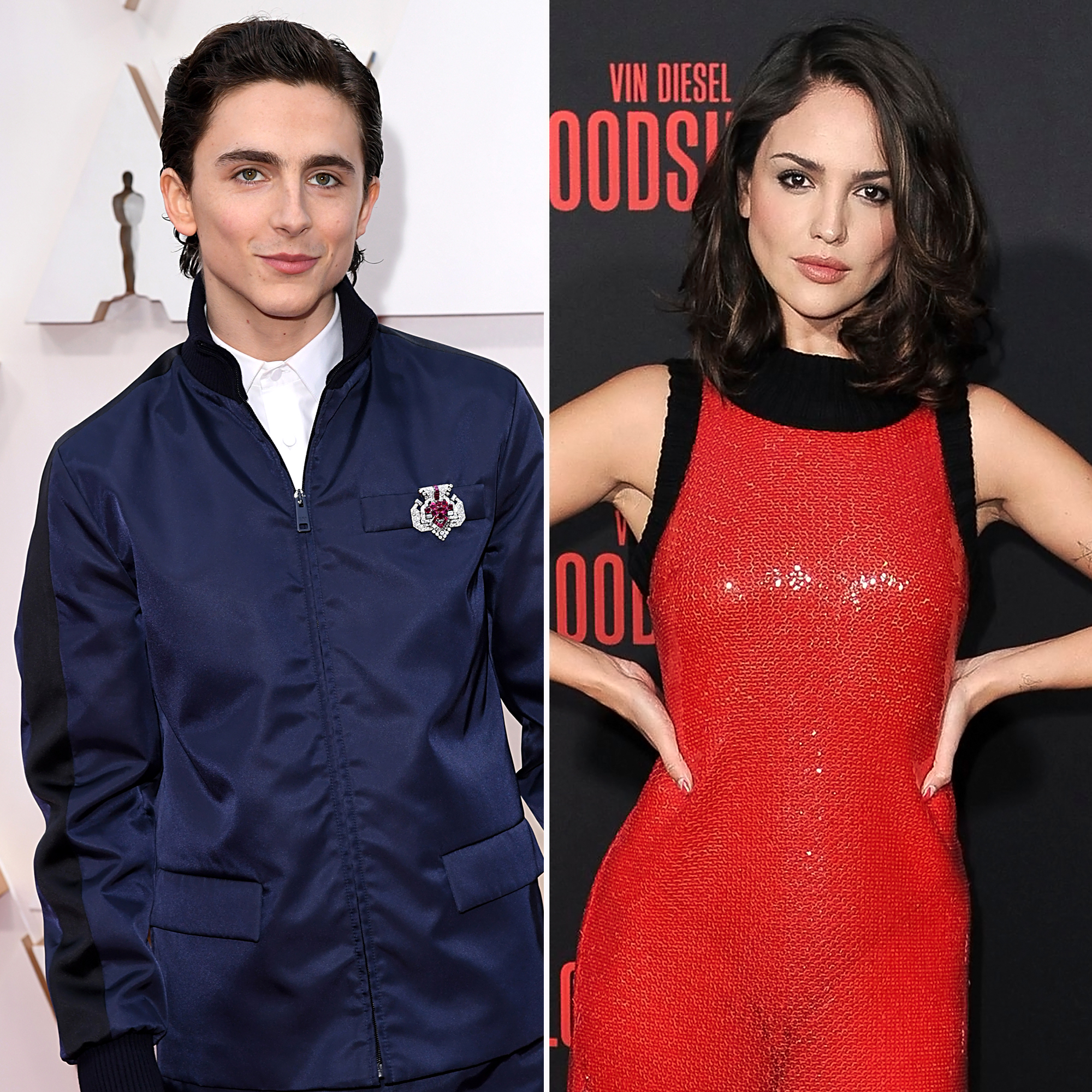 Timothee Chalamet Eiza Gonzalez Spotted Kissing in Mexico