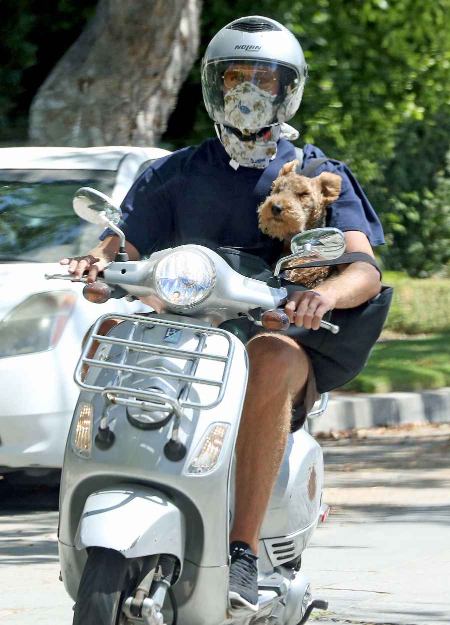 Armie Hammer Rides Vespa With Dog Following Elizabeth Chambers Split