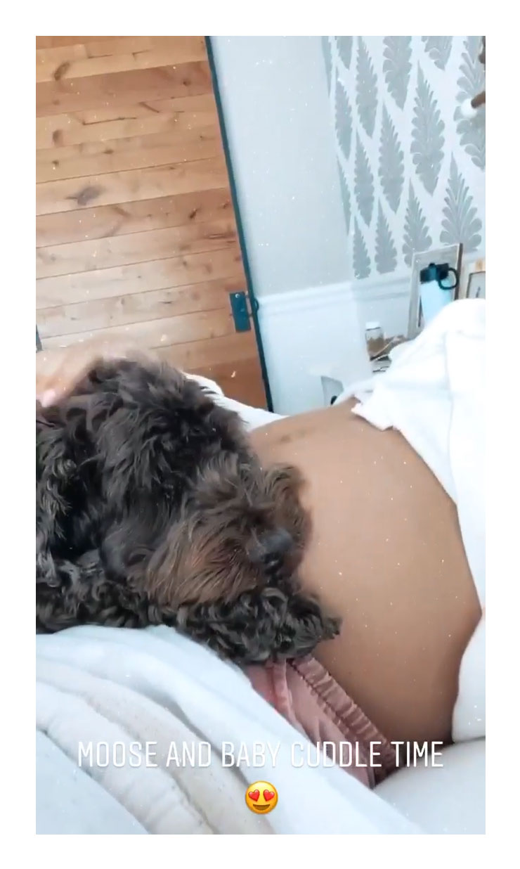 Lindsay Arnold Baby Bump Dog Moose