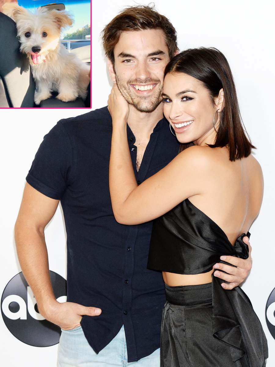 Ashley Iaconetti and Jared Haibon Relationship Timeline