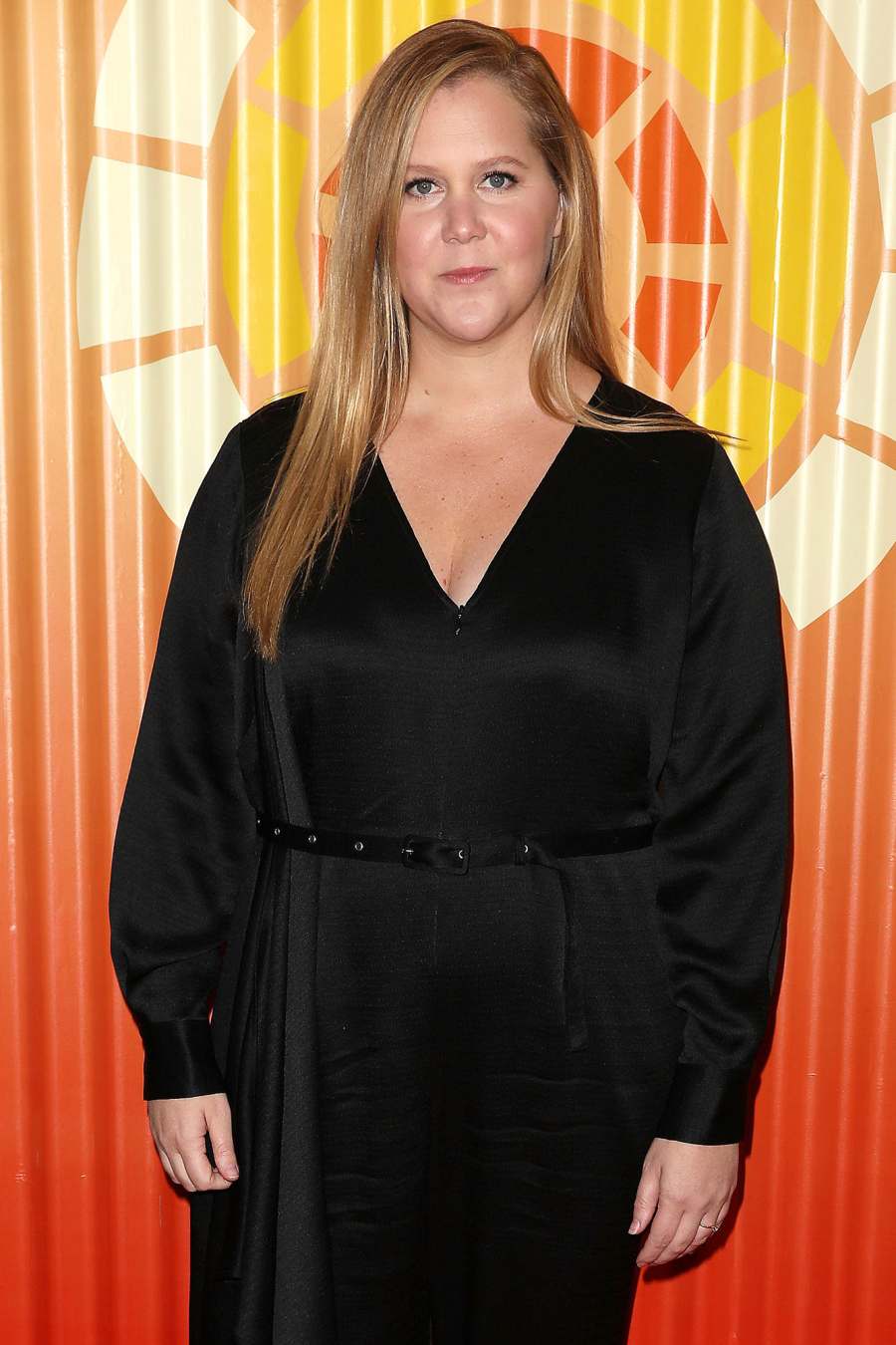 Amy Schumer Celebrities Battling Endometriosis