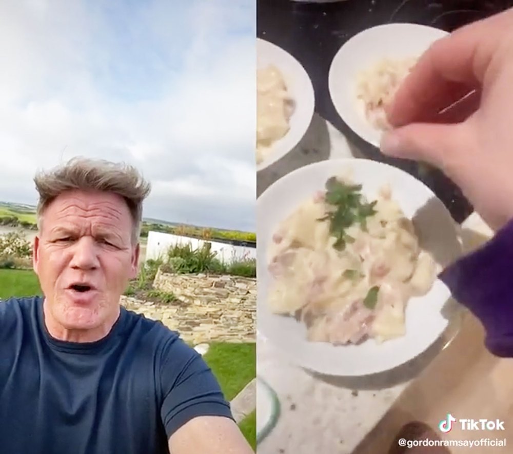 Gordon Ramsay Critiques His Own Daughter TikTok Recipe Video