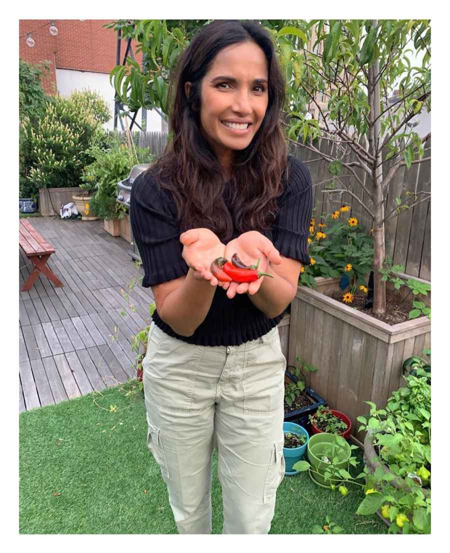 Padma Lakshmi Stars Who Grow Their Own Food