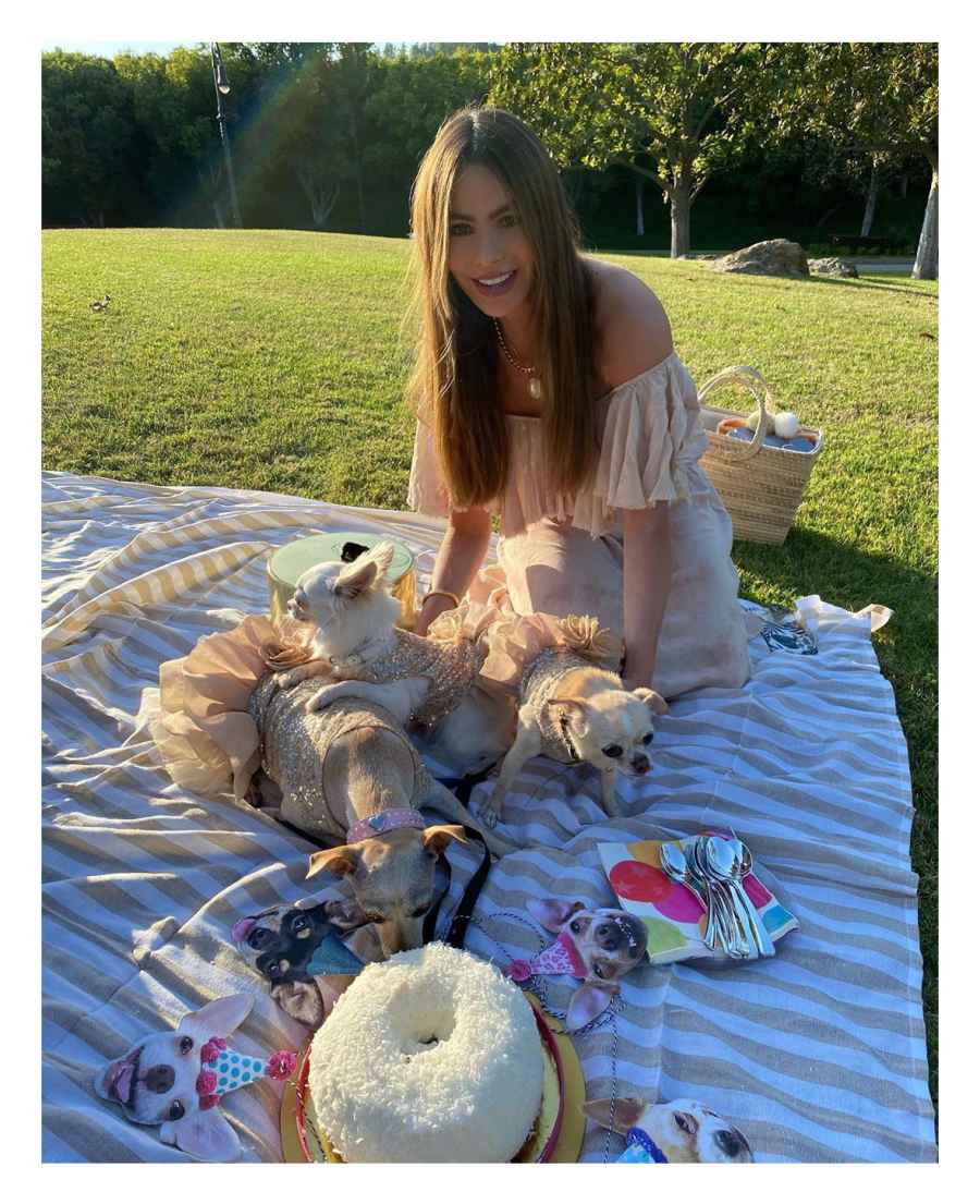 Sofia Vergara Stars Having Picnics Amid COVID-19