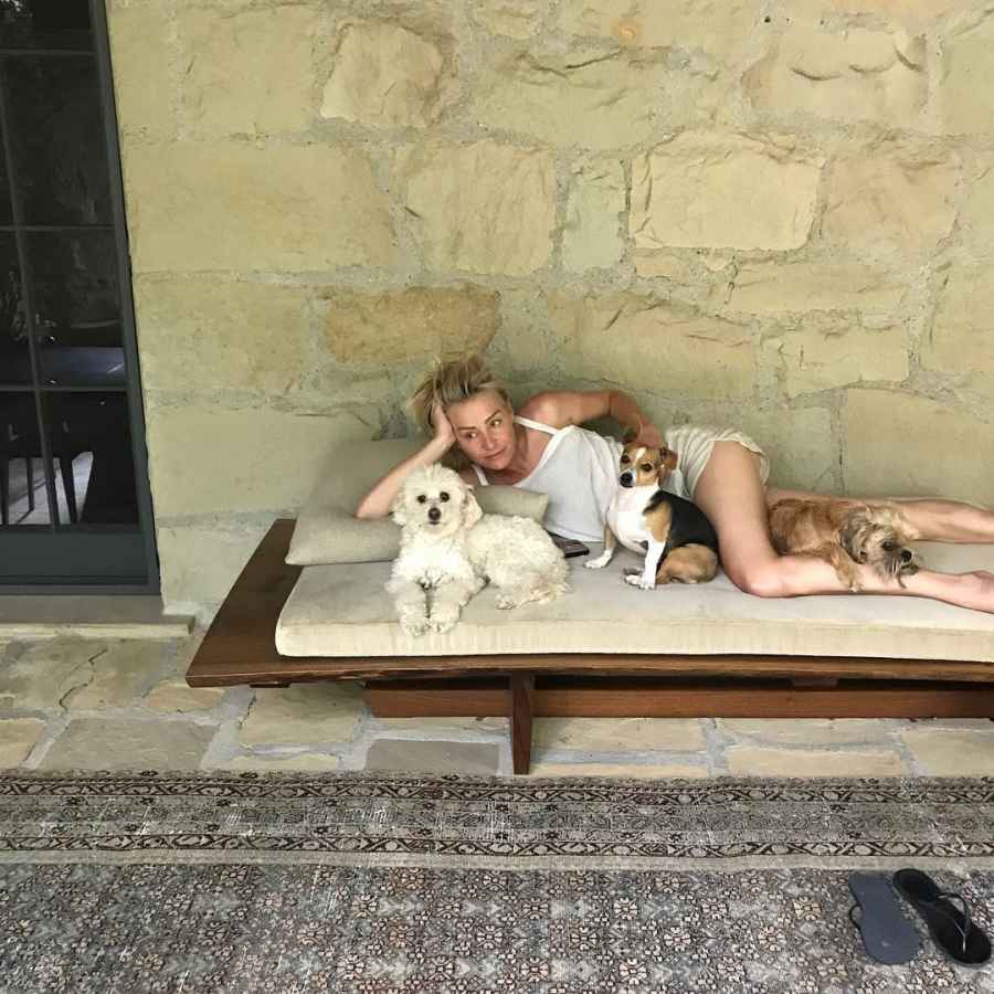 july 2020 ellen-degeneres-portia-de-rossi-mourn-their-dog-wolf