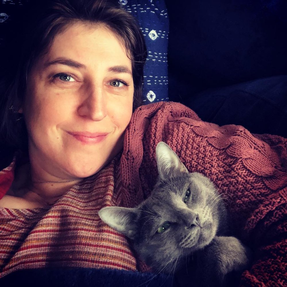 Mayim Bialik Details Quarantine Life With Her 3 Cats p 2