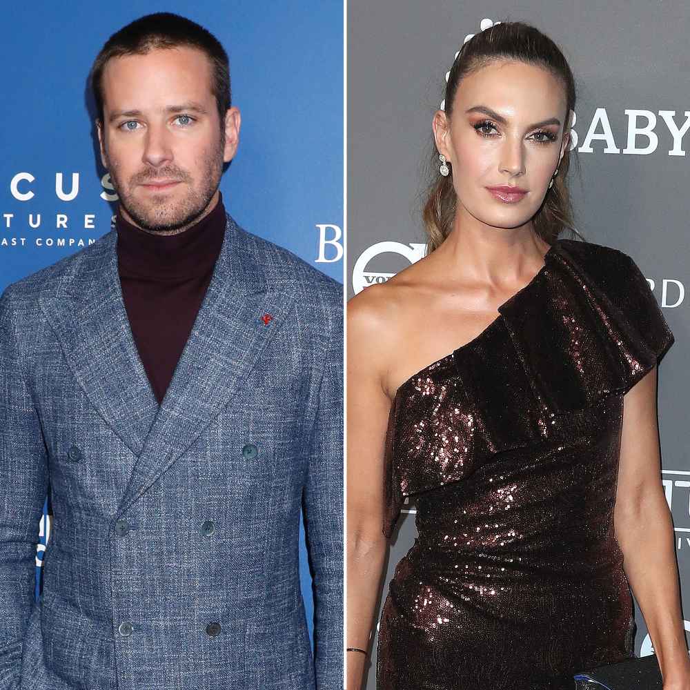 Armie Hammer Seeks Joint Custody Elizabeth Chambers