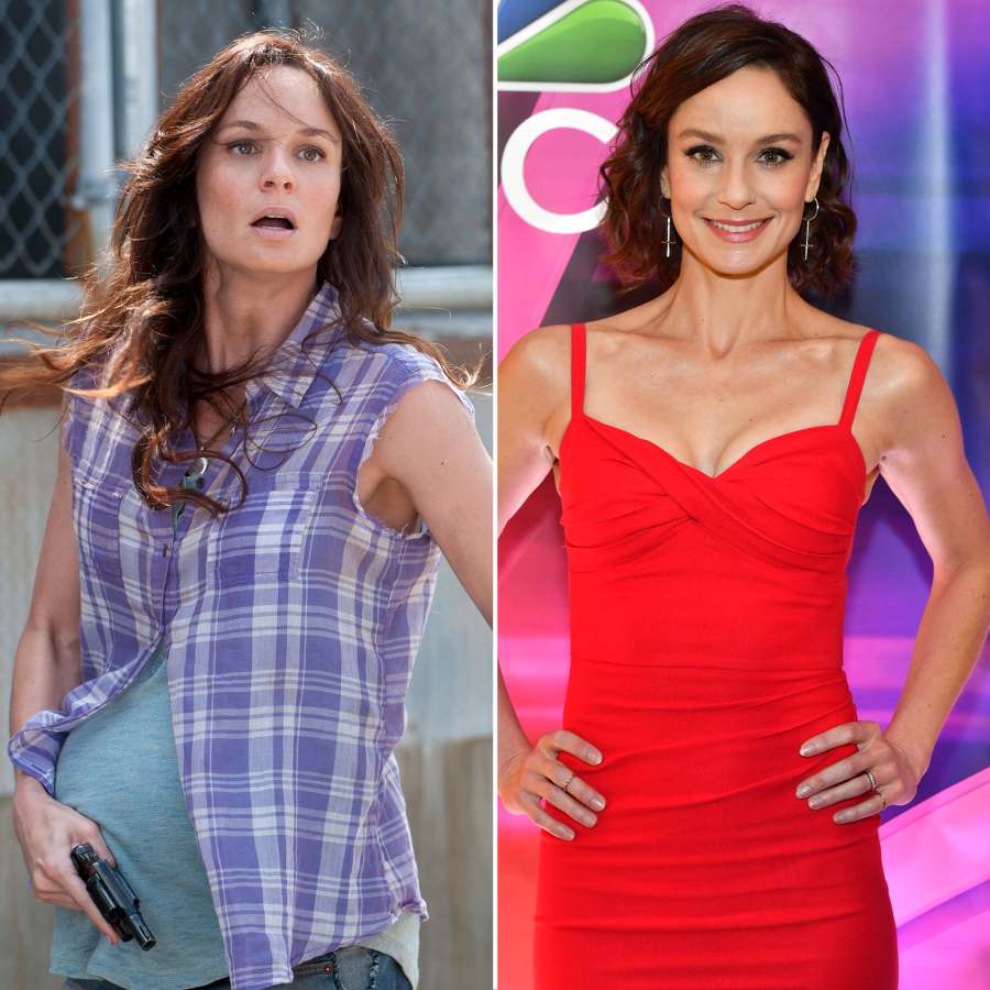 Sarah Wayne Callies Stars Who Left The Walking Dead