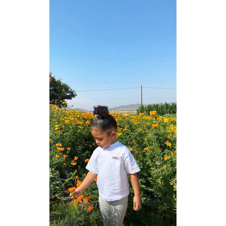 Stormi Visits a Farm in a Balenciaga T-Shirt