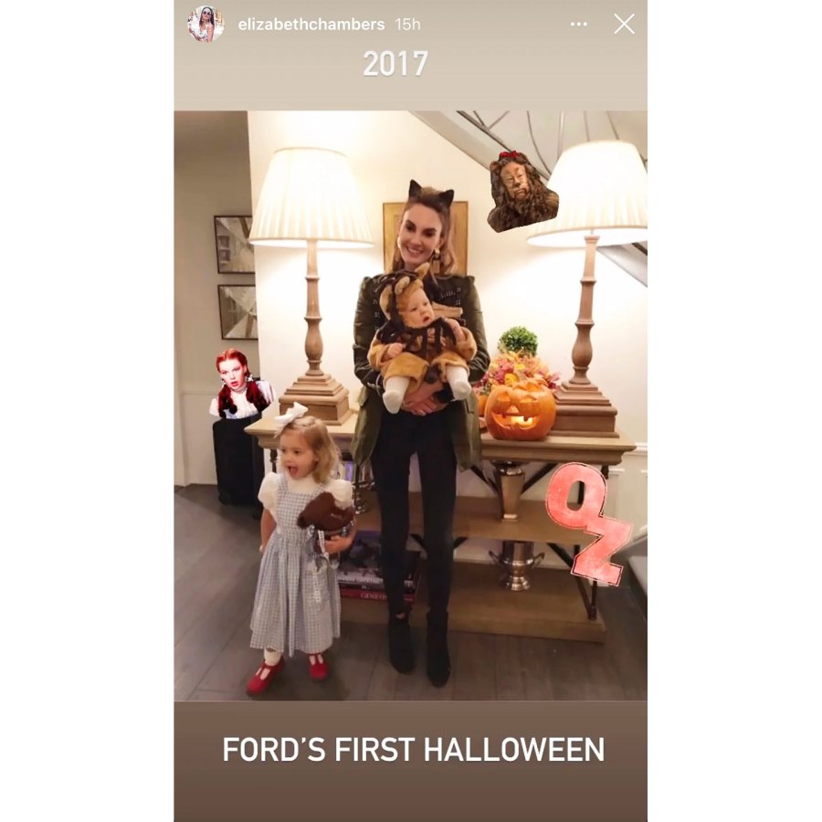 Elizabeth Chambers Shares Throwback Halloween Photos With Armie Hammer After Split